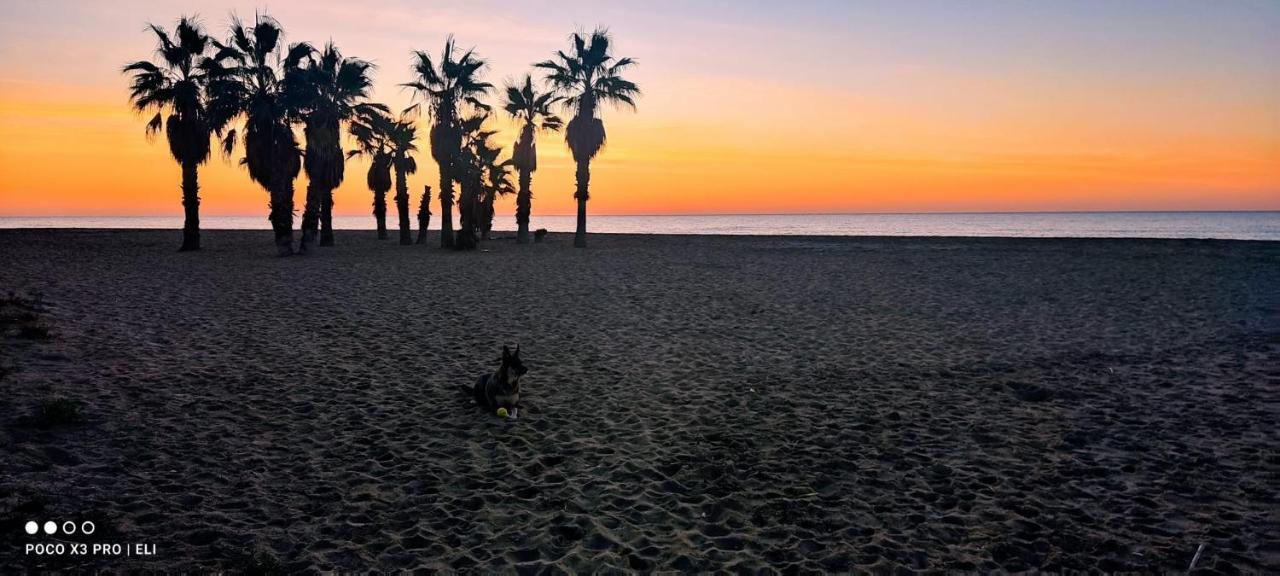 Encantador Apto En La Playa Комаруга Екстериор снимка