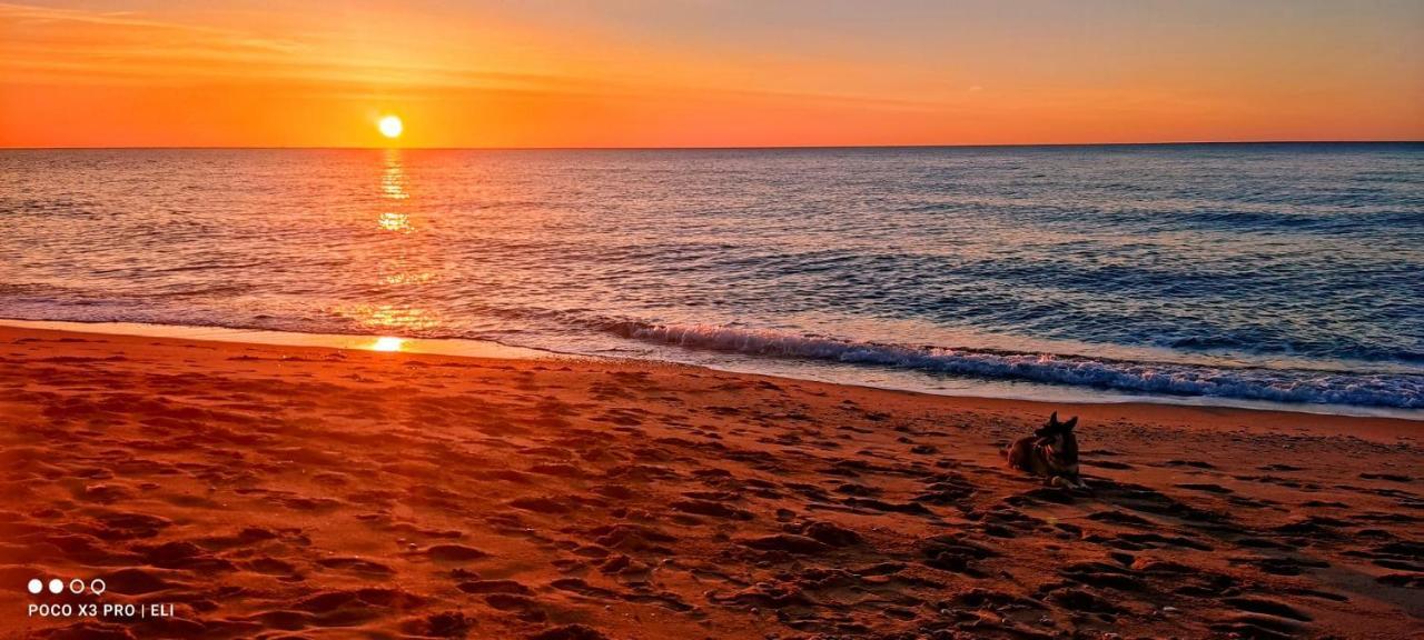 Encantador Apto En La Playa Комаруга Екстериор снимка
