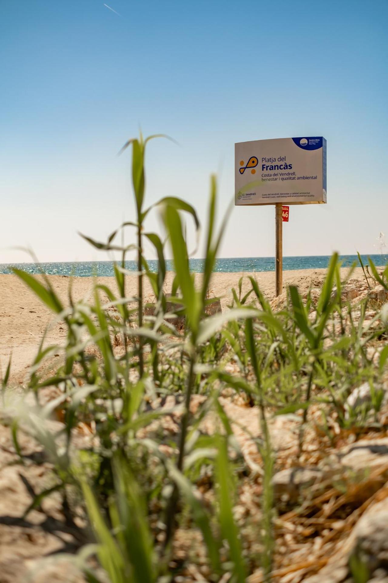 Encantador Apto En La Playa Комаруга Екстериор снимка